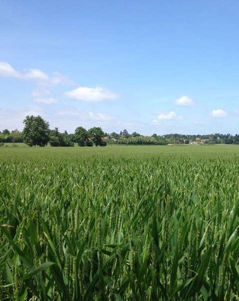 2013-06-02 14.51.49 - Copie